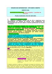 Direito Civil STJ-1.docx