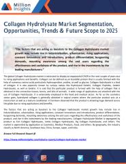 Collagen Hydrolysate Market Segmentation, Opportunities, Trends & Future Scope to 2025.pdf
