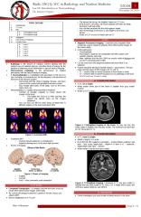 Radio 250 E1 Lec 02 Introduction to Neuroradiology.pdf