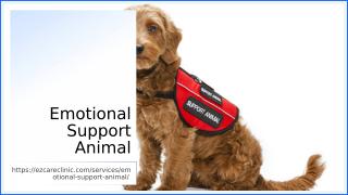 Emotional Support Animal.ppt